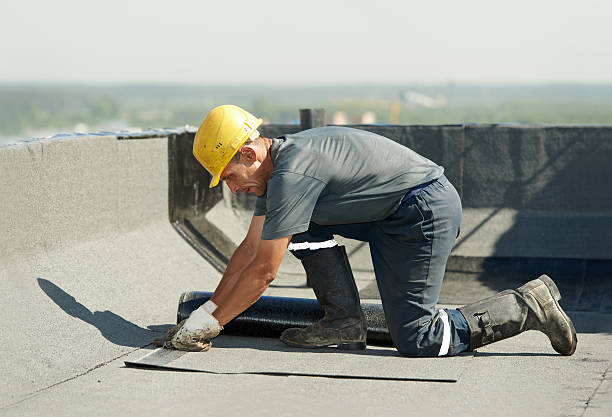 Best Insulation Maintenance and Repair in Indian Rocks Beach, FL